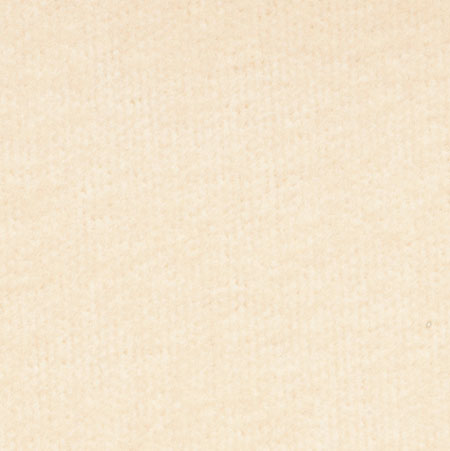 (image for) Carpet Taupe 14 X 12