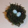 Bird Nest with Eggs