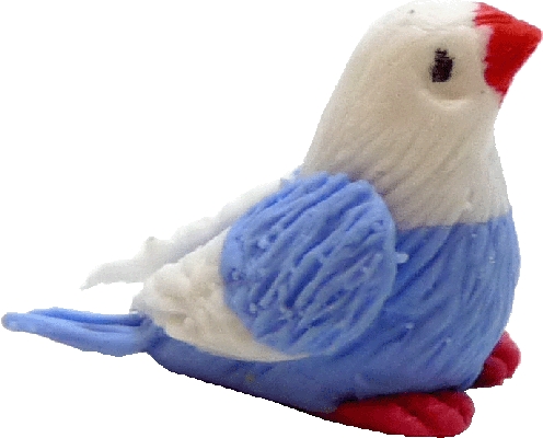 Blue & White Bird