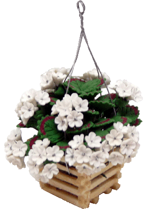 Geraniums in Hanging Basket White