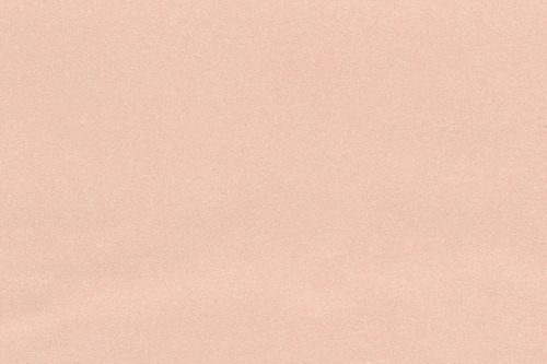 (image for) French Bouquet Wallpaper Solid Blush 3pc