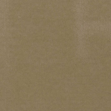 (image for) Carpet Beige 14 x 20