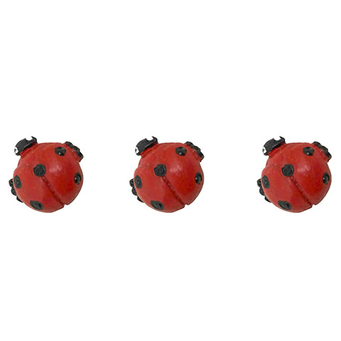 Ladybug 3pc