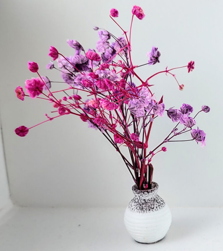 Makayla McLeish Purple Dried Flowers Buy Factory Dried Flower For