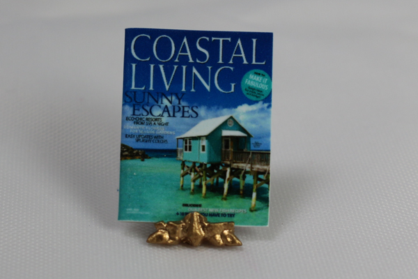 Coastal Living Sunny Escape Magazine