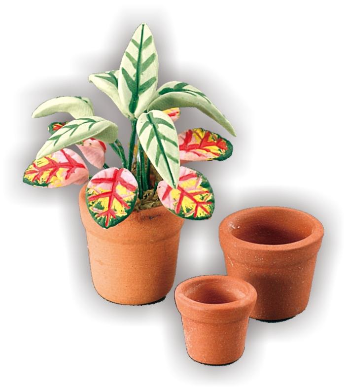 Terra Cotta Pots w/ Tropical Plant