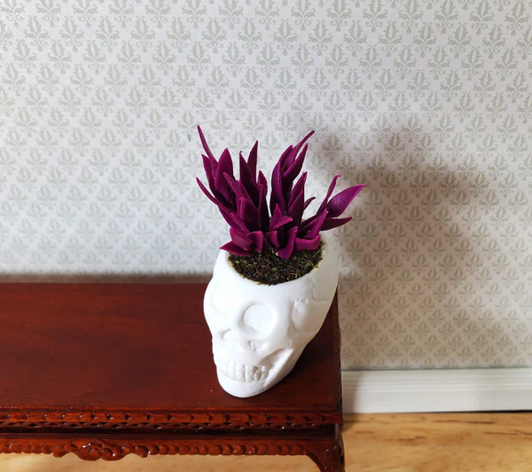 (image for) Blood Amaranth in a Large White Skull Planter