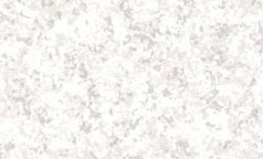 (image for) Pre-pasted wallpaper S/3