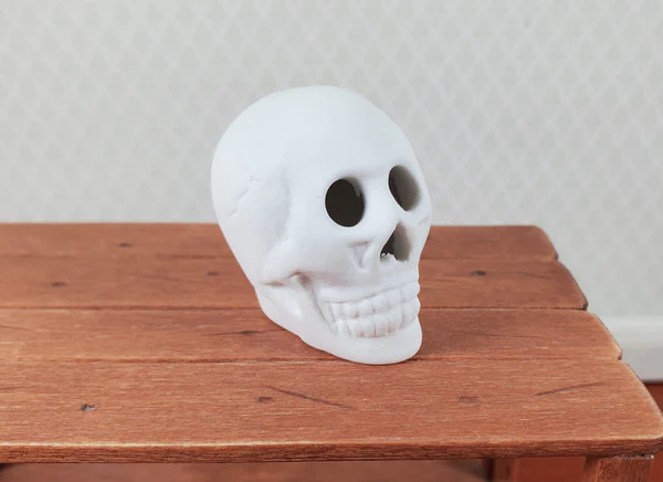 (image for) Halloween Ceramic Skull Unglazed