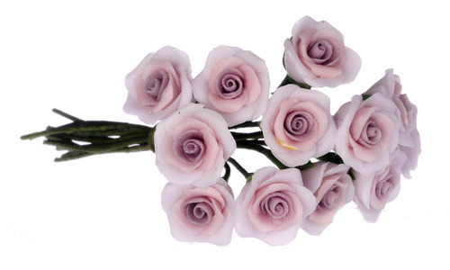 1dz Purple Roses