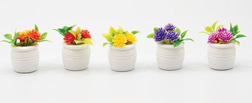 (image for) Assorted Potted Flower Plant