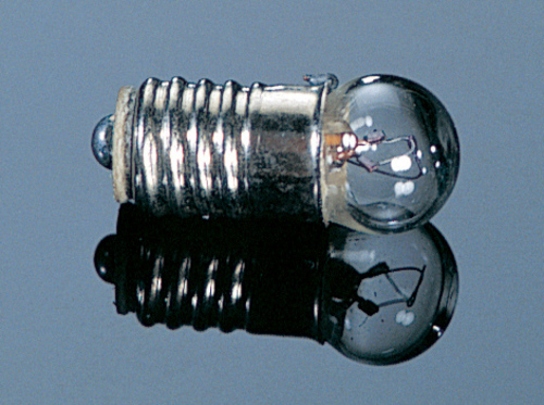 12v Round Screw Base Bulb