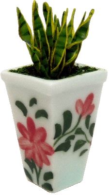 Aloe Vera in Square Painted Vase