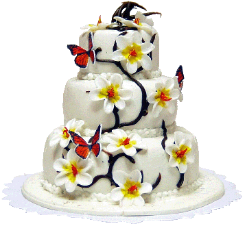 Butterflies & Flowers on 3 Tier Wedding Cake