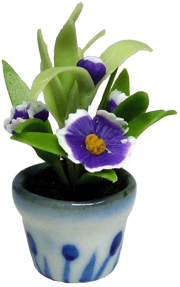 Fringed Purple Petunia in Pot