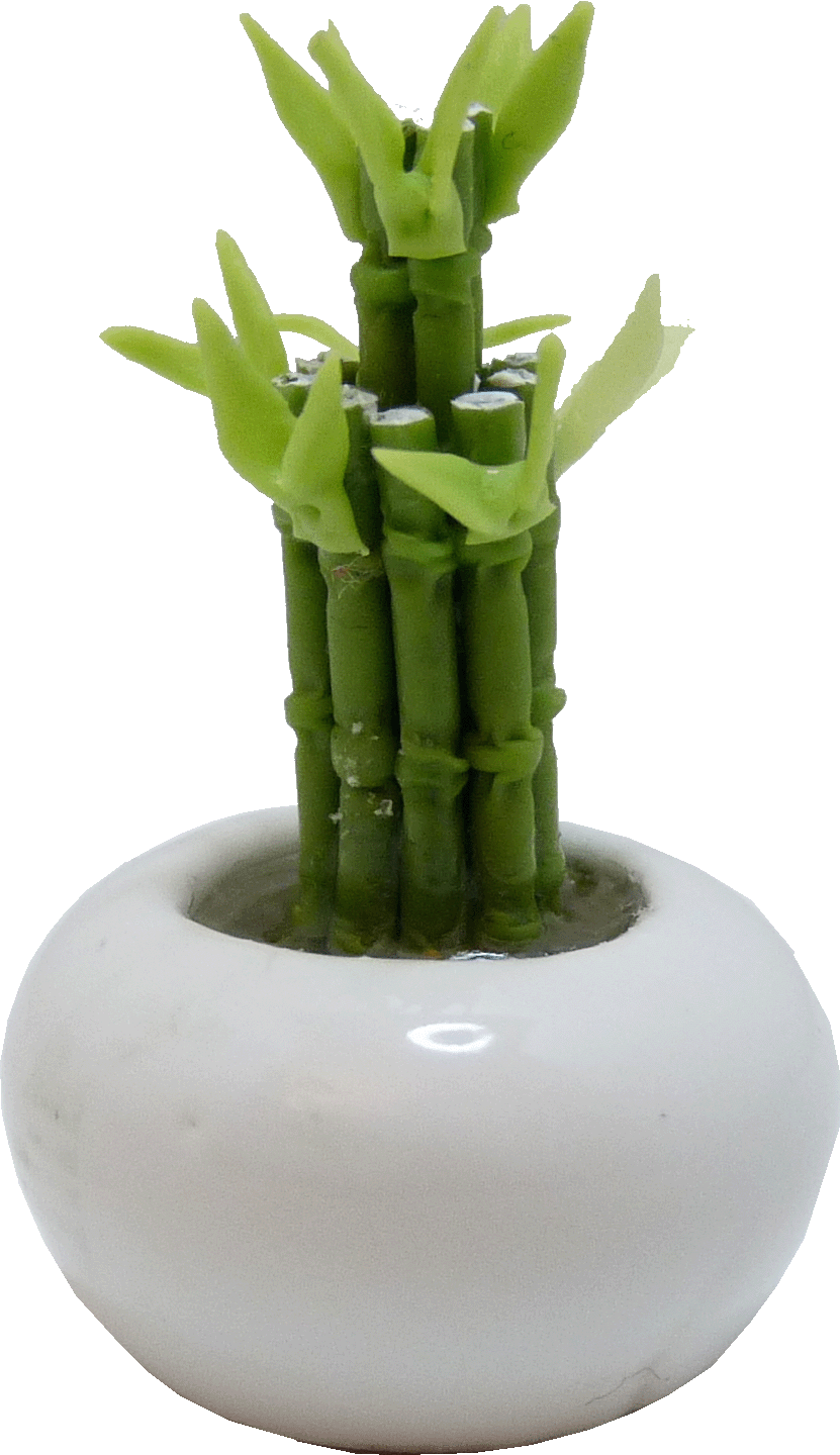 Dollhouse Miniature Lucky Bamboo in white Bowl A045 