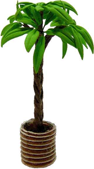 Palm In A Decorative Pot
