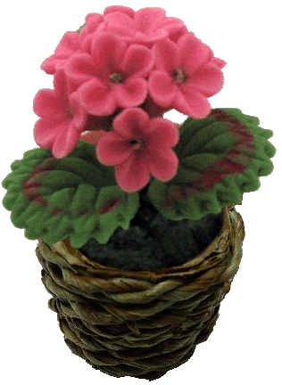 Pink Geranium in Basket