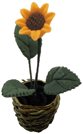 Sunflower in Basket Planter