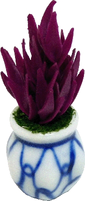 Amaranthus in Ceramic Pot