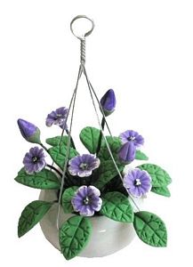 Purple Cup Flower In Hanging Pot