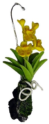 Hanging Orchid Yellow