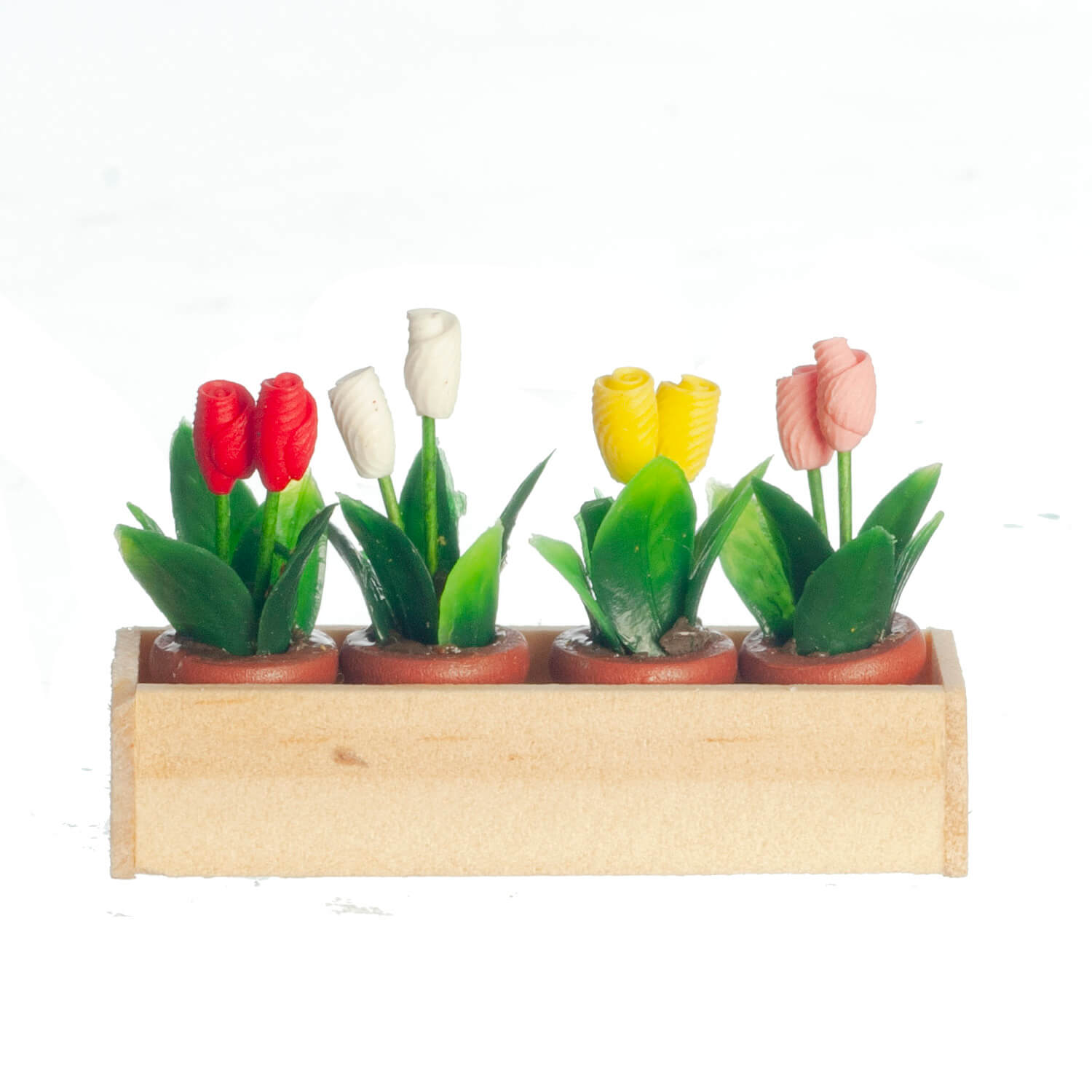 Tulips in a Window Box