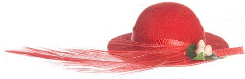 Red Hat w/ Feather