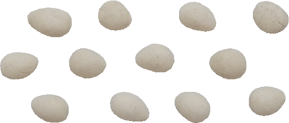 Dozen White Eggs