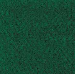 (image for) Carpet Forest Green 12 x 14