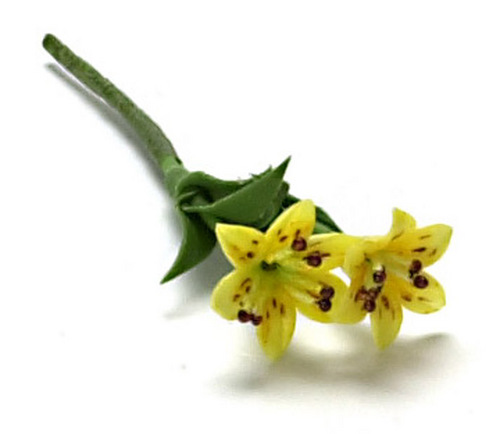 2 Small Stem Yellow Tiger Lilies