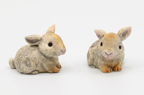(image for) Wild Rabbit 2pc