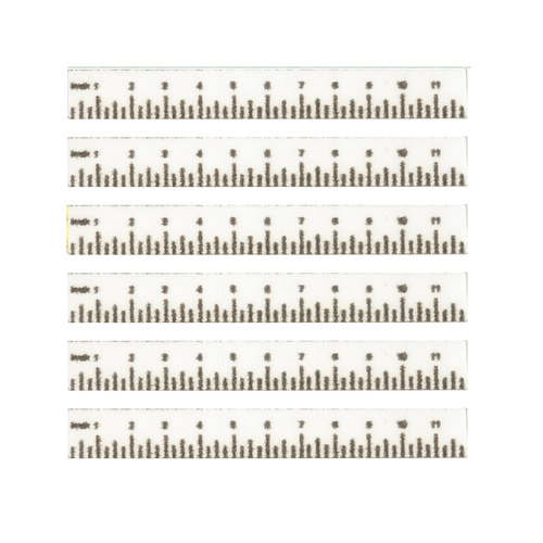 (image for) School Ruler White 6pc