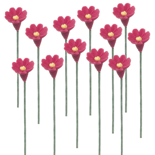 1dz Rose Colored Daisy Stems
