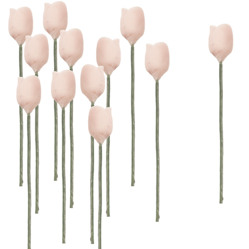 1dz Light Pink Tulip Stems
