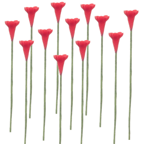 1dz Red Wildflower Stems