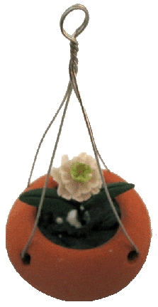 Zinnia in Hanging Planter
