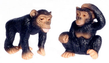 Chimpanzees 2pc