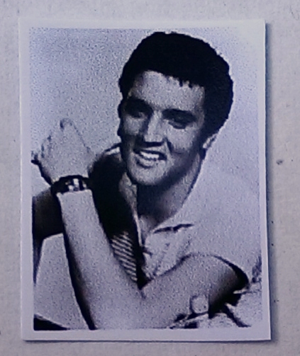 Elvis Presley Dollhouse Photo 8 x10
