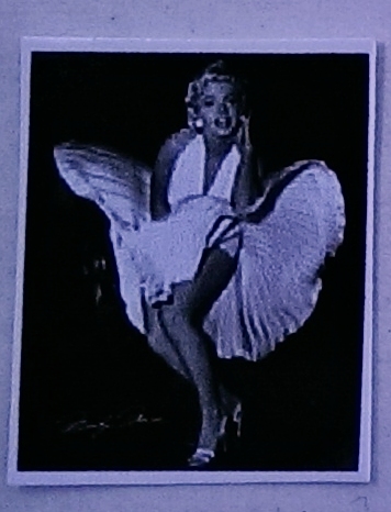 Marilyn Monroe Dollhouse Photo 8 x10 2