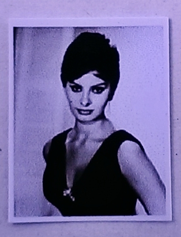 Sophia Loren Dollhouse Photo 8 x10