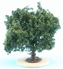 Miniature Bush Variegated green