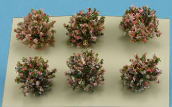 Border Plant Pink / Fuchsia