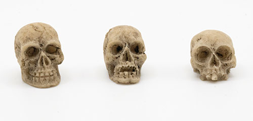 (image for) Skull - Assorted Styles