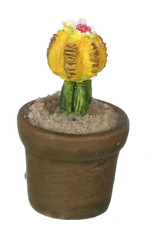 Potted Cactus w/ Yellow & Red Flower