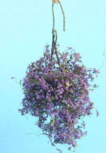 Hanging Plant - Purple - Blue - Large