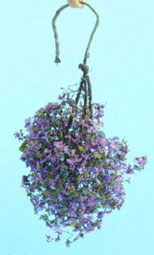 Hanging Purple & Blue Plant Small