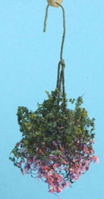 Hanging Plant:Fuchsia, Pink, White, Small