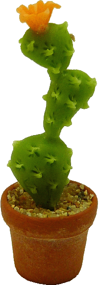 Long Cactus in Pot