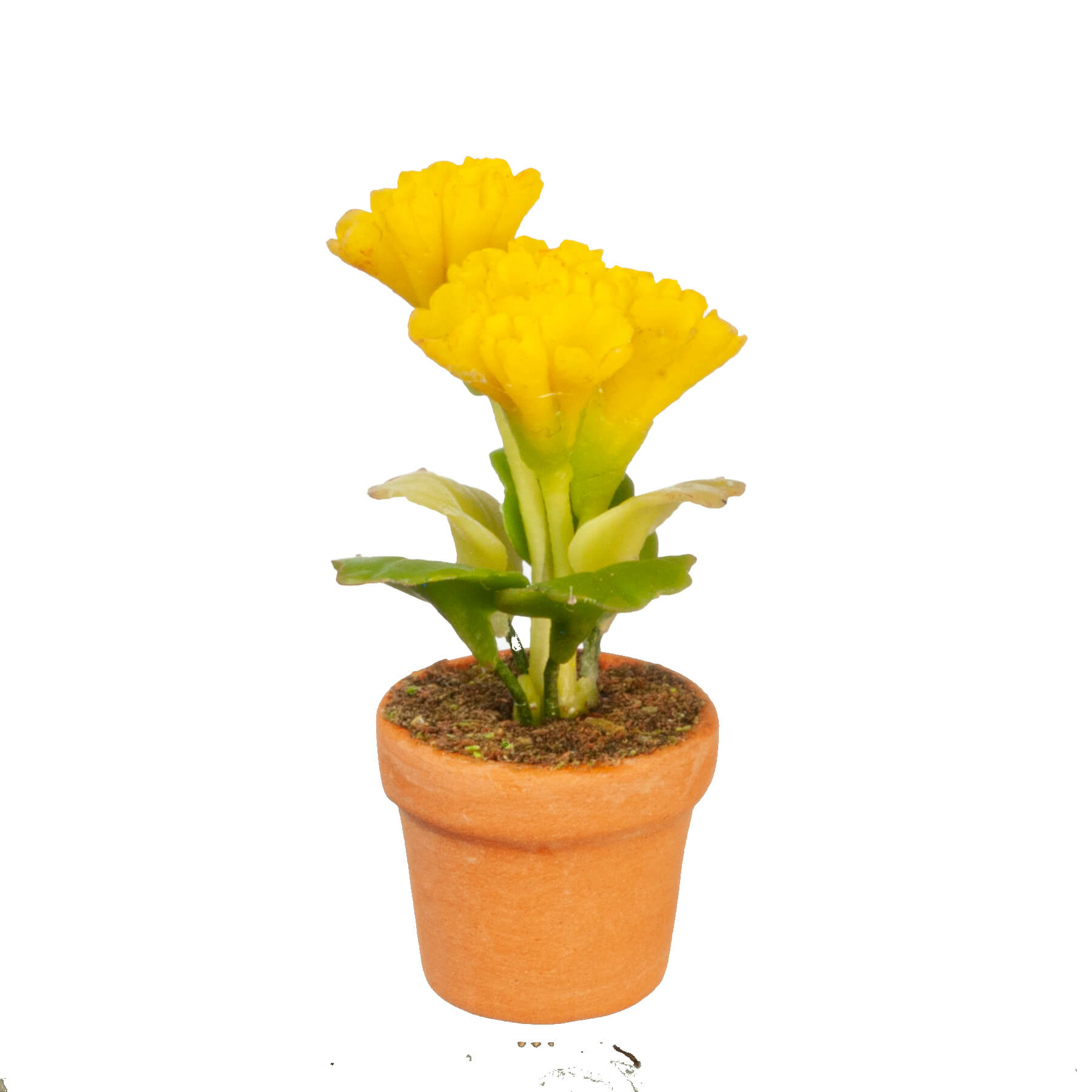 Potted Flowers - Yellow